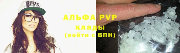 гашик Верея