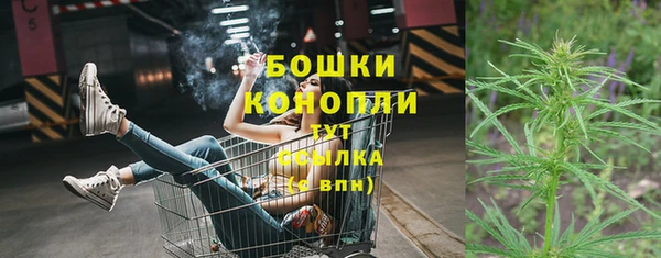прущие грибы Верхнеуральск