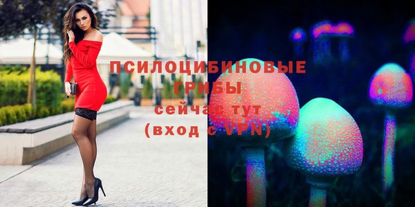 прущие крисы Бугульма