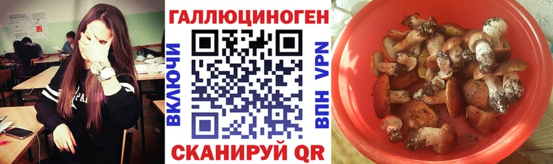 Галлюциногенные грибы Magic Shrooms  Сольвычегодск 